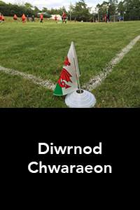 Diwrnod Chwaraeon
