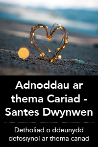 Santes Dwynwen - Cariad