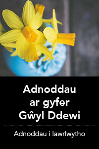 Adnoddau Gŵyl Ddewi
