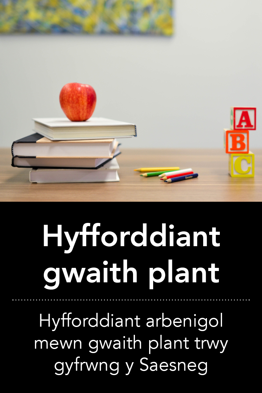 Hyfforddiant gwaith plant