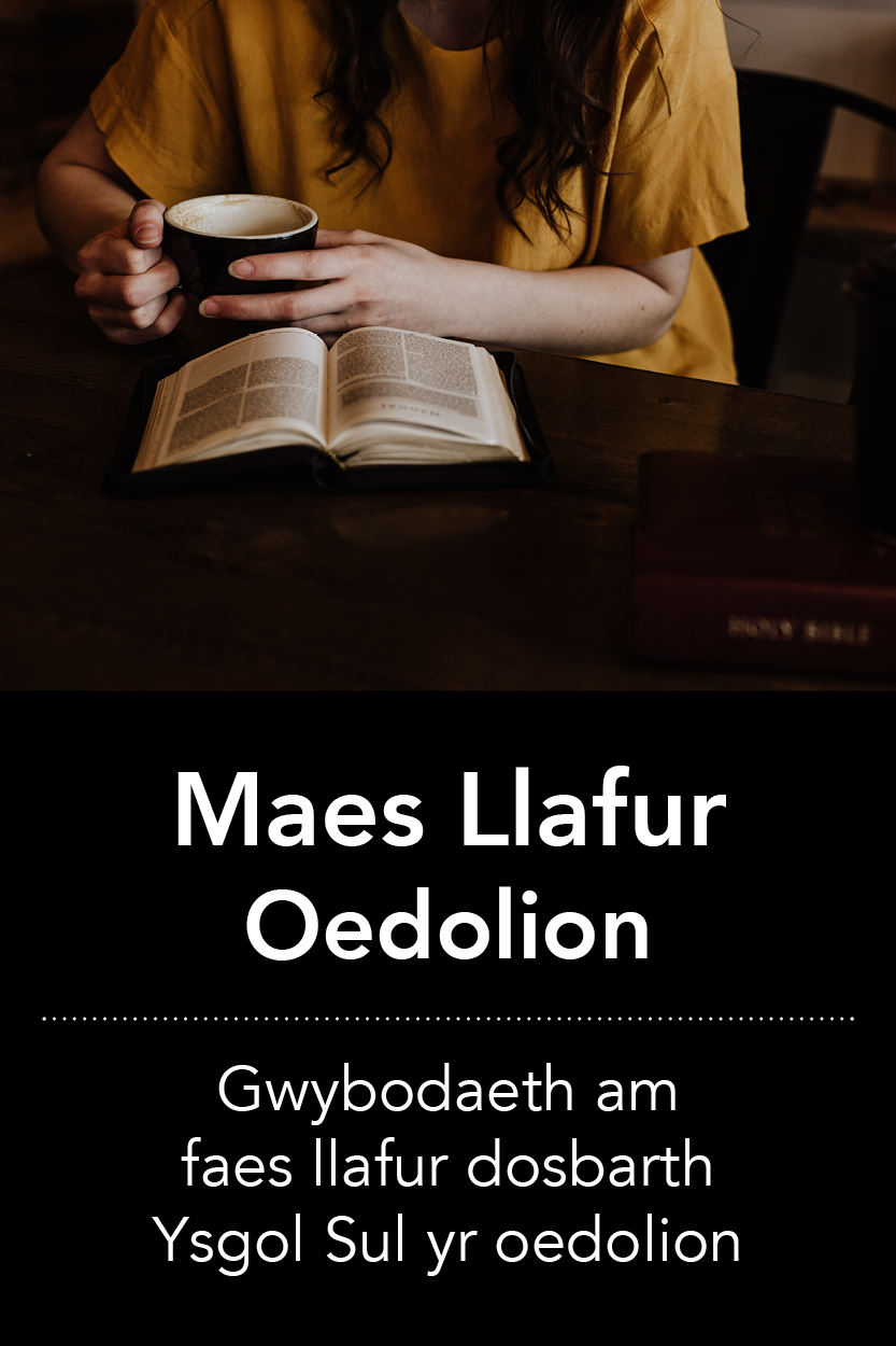 Maes Llafur Oedolion