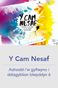 Y Cam Nesa