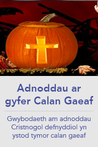 Calan Gaeaf a Goleuni Crist