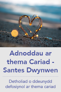 Santes Dwynwen - Cariad