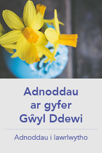 Adnoddau Gŵyl Ddewi