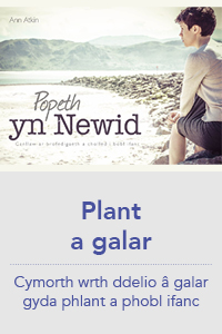 Popeth yn Newid